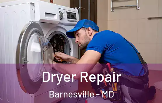  Dryer Repair Barnesville - MD