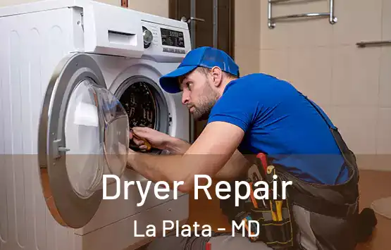  Dryer Repair La Plata - MD