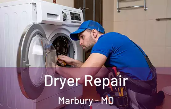  Dryer Repair Marbury - MD