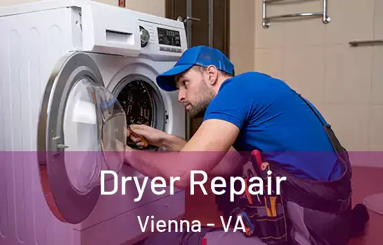  Dryer Repair Vienna - VA