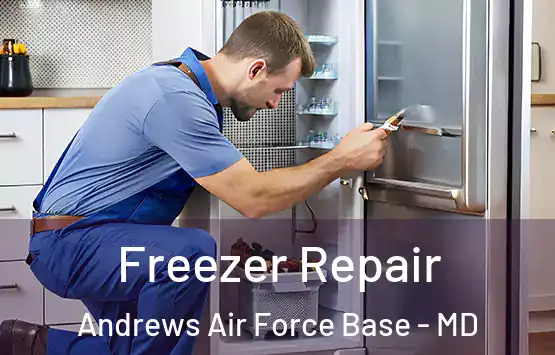  Freezer Repair Andrews Air Force Base - MD