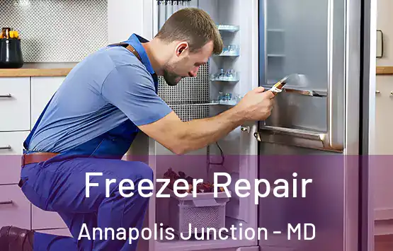  Freezer Repair Annapolis Junction - MD