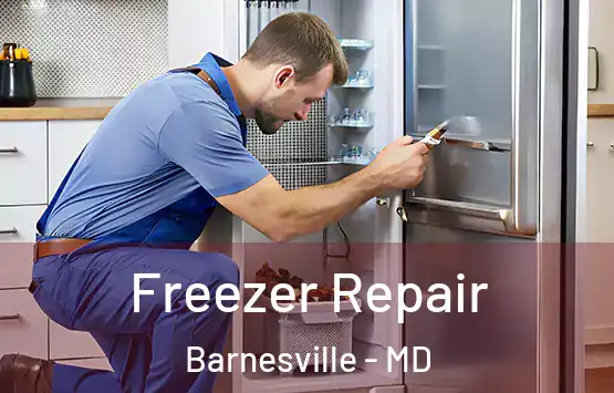  Freezer Repair Barnesville - MD