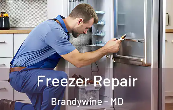  Freezer Repair Brandywine - MD