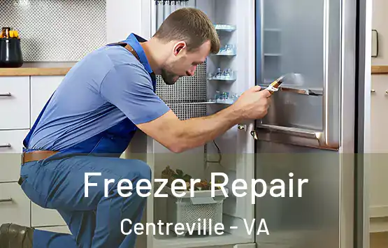  Freezer Repair Centreville - VA
