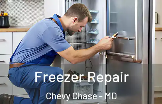  Freezer Repair Chevy Chase - MD