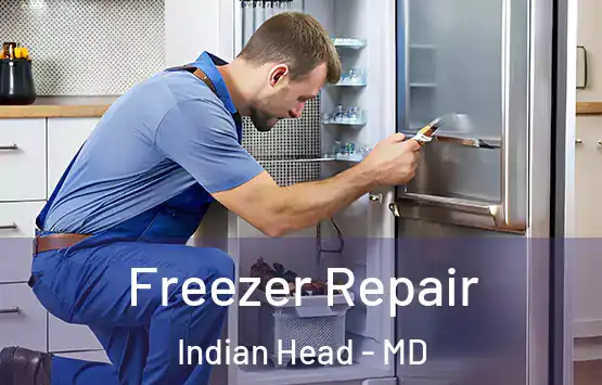  Freezer Repair Indian Head - MD