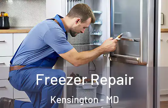 Freezer Repair Kensington - MD