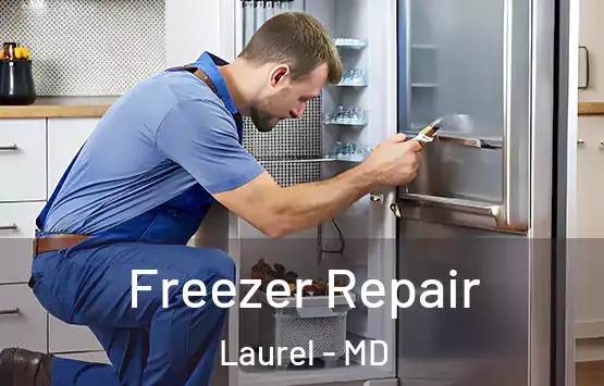  Freezer Repair Laurel - MD