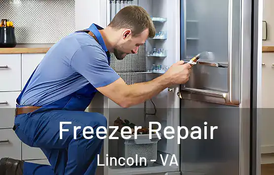  Freezer Repair Lincoln - VA