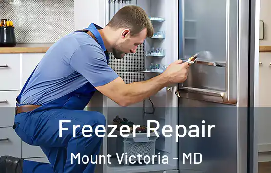  Freezer Repair Mount Victoria - MD