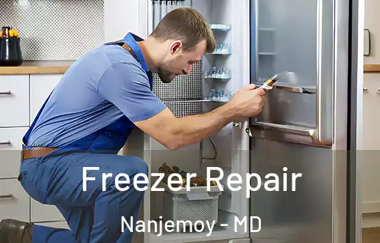  Freezer Repair Nanjemoy - MD