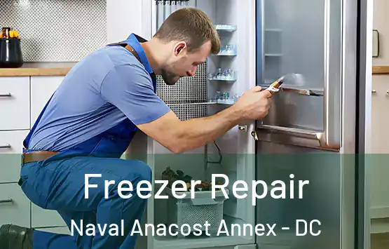  Freezer Repair Naval Anacost Annex - DC