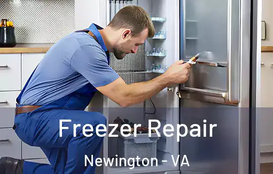  Freezer Repair Newington - VA