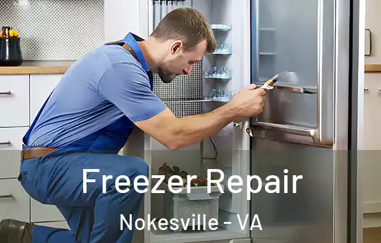  Freezer Repair Nokesville - VA