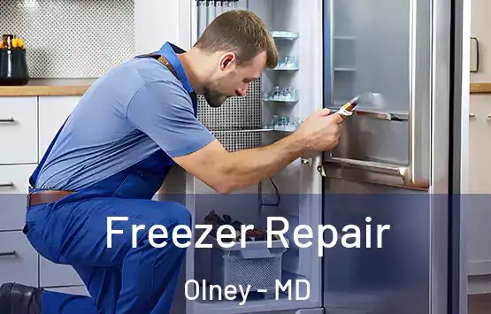  Freezer Repair Olney - MD