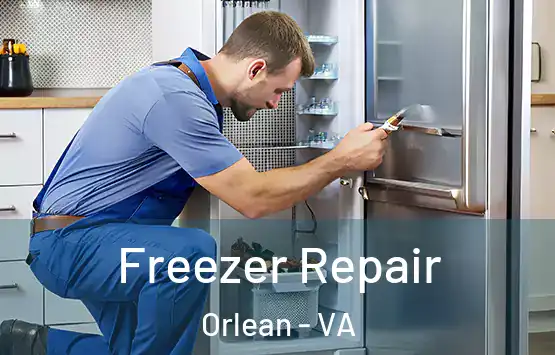  Freezer Repair Orlean - VA