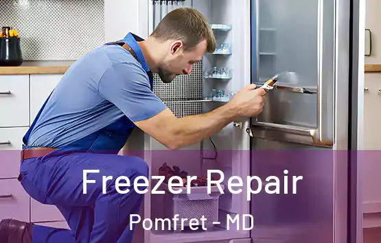  Freezer Repair Pomfret - MD