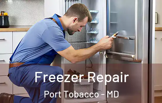  Freezer Repair Port Tobacco - MD