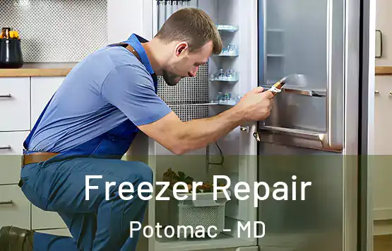  Freezer Repair Potomac - MD