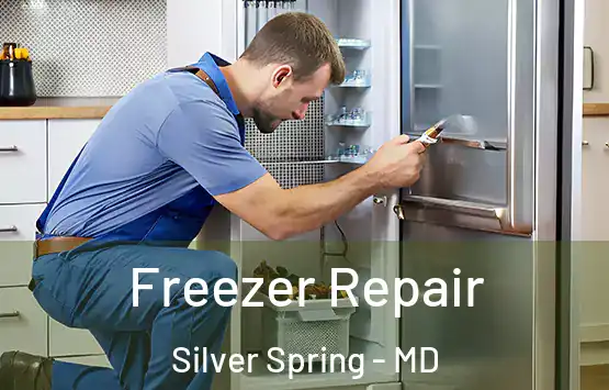  Freezer Repair Silver Spring - MD