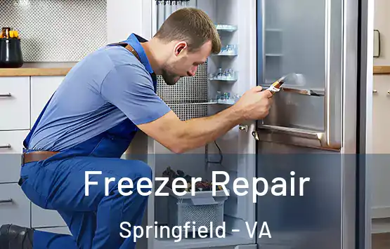  Freezer Repair Springfield - VA