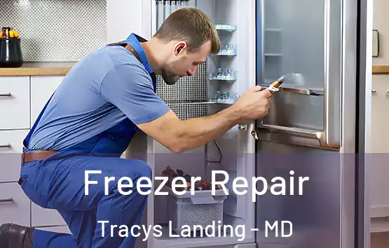  Freezer Repair Tracys Landing - MD