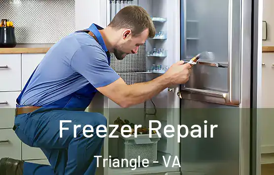  Freezer Repair Triangle - VA