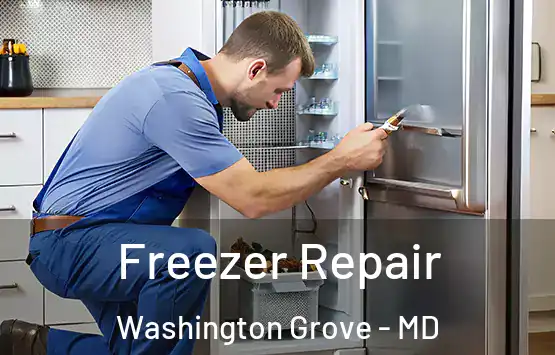  Freezer Repair Washington Grove - MD