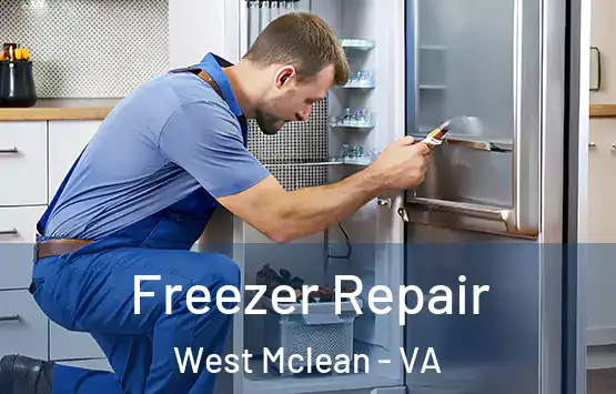  Freezer Repair West Mclean - VA