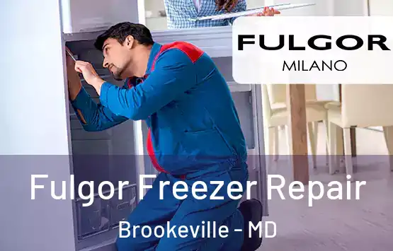  Fulgor Freezer Repair Brookeville - MD