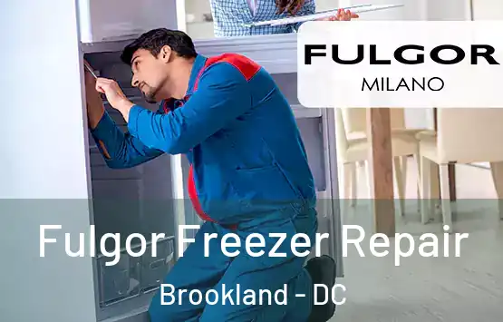  Fulgor Freezer Repair Brookland - DC