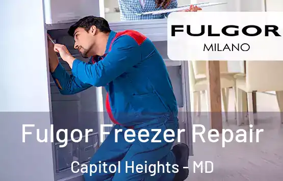  Fulgor Freezer Repair Capitol Heights - MD