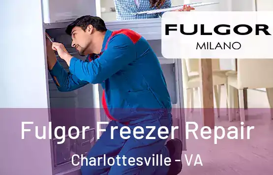  Fulgor Freezer Repair Charlottesville - VA