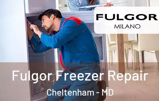  Fulgor Freezer Repair Cheltenham - MD