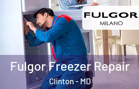  Fulgor Freezer Repair Clinton - MD