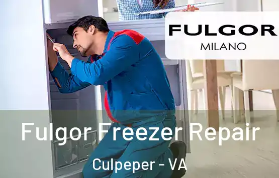 Fulgor Freezer Repair Culpeper - VA