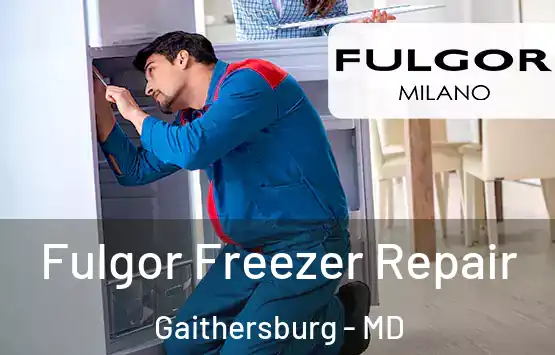  Fulgor Freezer Repair Gaithersburg - MD