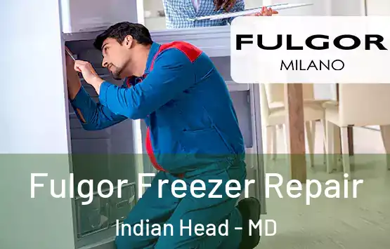  Fulgor Freezer Repair Indian Head - MD