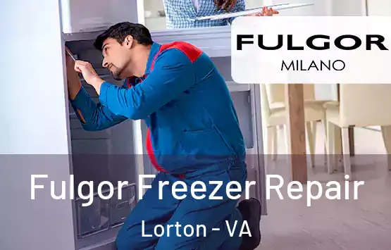 Fulgor Freezer Repair Lorton - VA