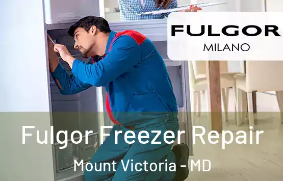  Fulgor Freezer Repair Mount Victoria - MD