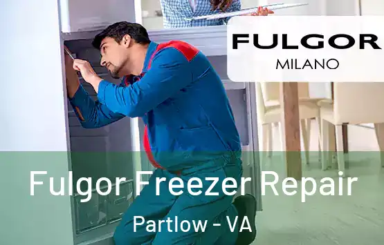  Fulgor Freezer Repair Partlow - VA