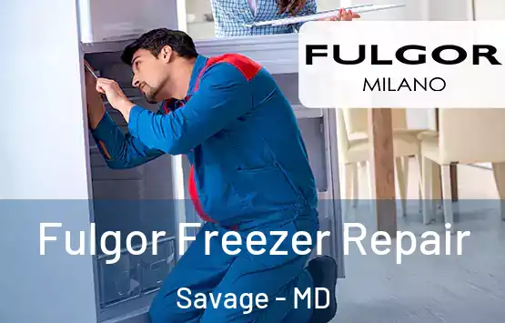  Fulgor Freezer Repair Savage - MD