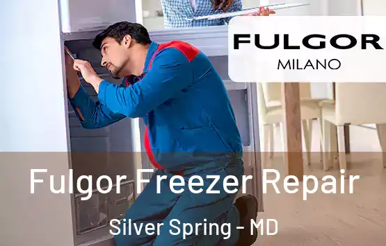  Fulgor Freezer Repair Silver Spring - MD