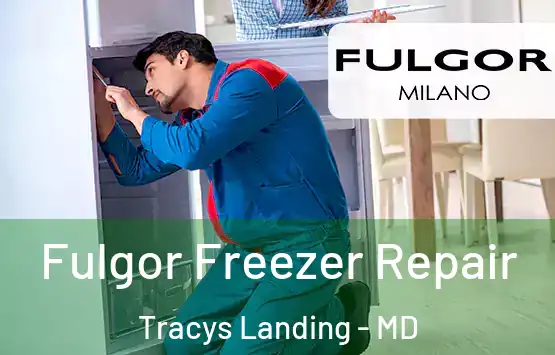  Fulgor Freezer Repair Tracys Landing - MD