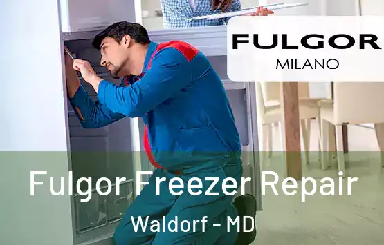  Fulgor Freezer Repair Waldorf - MD