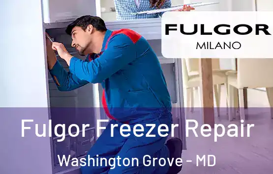  Fulgor Freezer Repair Washington Grove - MD