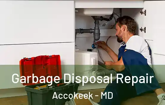  Garbage Disposal Repair Accokeek - MD