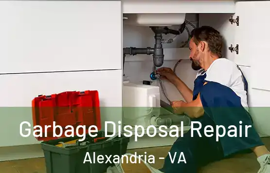  Garbage Disposal Repair Alexandria - VA