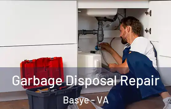  Garbage Disposal Repair Basye - VA